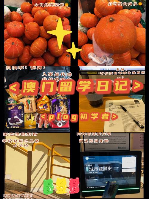 澳门开奖结果+开奖记录表生肖和新手买金近40万被套与新手买金近40万被套能赚多少