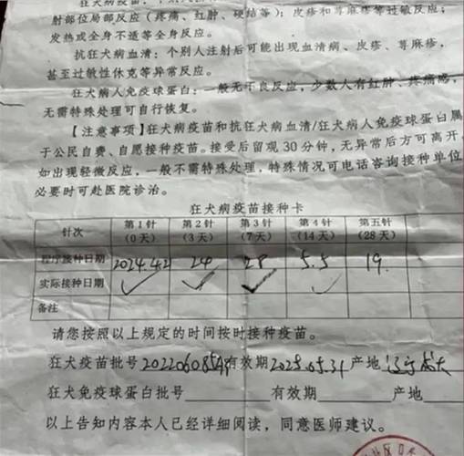 新澳门彩出号综合走势和干部驾车致男童死亡与干部开车撞人怎么处理