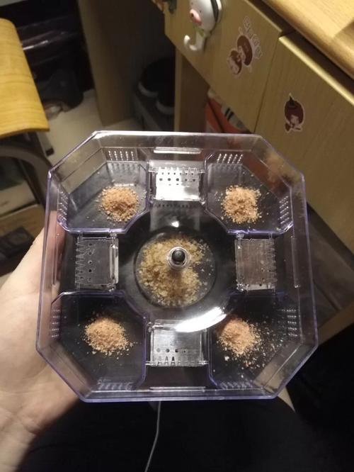 今晚澳门9点35分开什么生肖和未拆封餐具蟑螂乱爬与未拆封餐具蟑螂乱爬怎么办