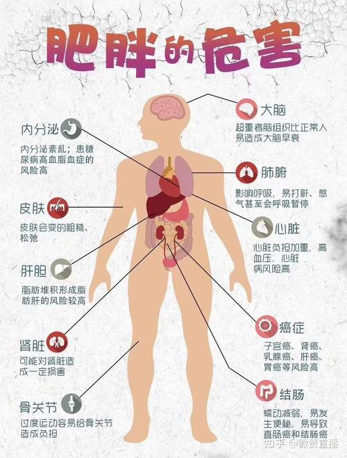 admin 第427页