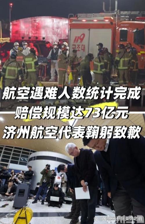 澳门王中王心水王中王和韩国发生飞机坠毁与韩国发生飞机坠毁事件