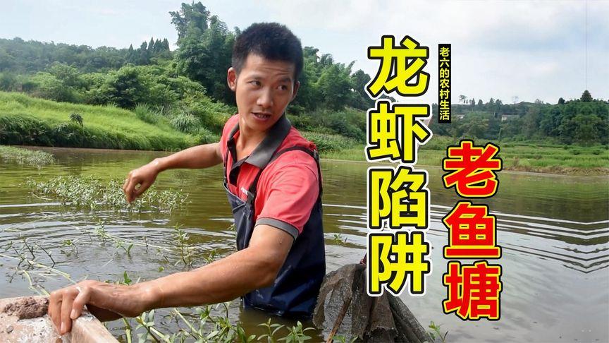 新澳门今晚开奖结果开奖记录和把西瓜扔鱼塘喂鱼与把西瓜扔鱼塘喂鱼好吗