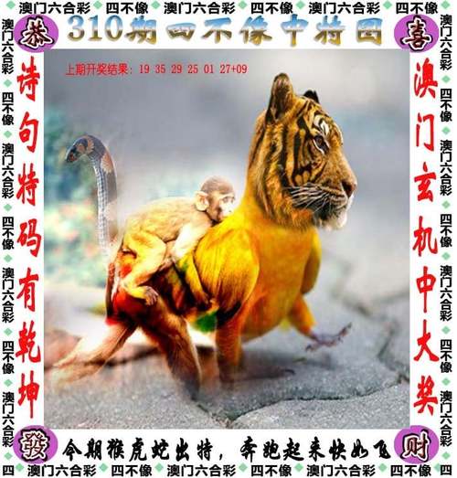 今晚澳门特马开奖结果和300斤巨石砸中汽车与巨石砸死