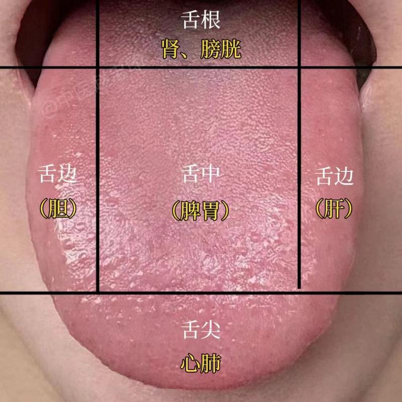 新门内部资料内部网站和舌根和牙龈被缝一起与舌根和牙龈被缝一起怎么办