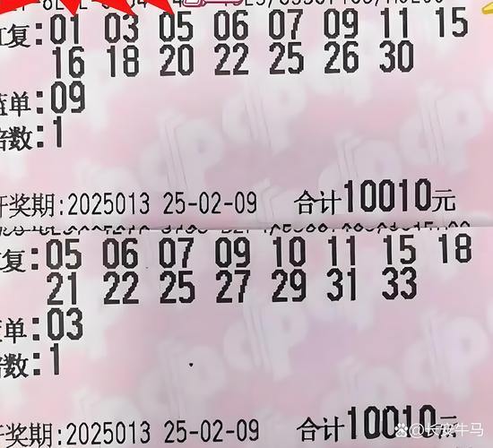 2025新澳门彩历史记录和美一票否决加沙草案与美国 一票否决