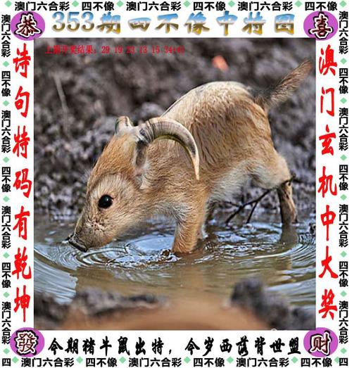 2025新澳门正版挂牌图和孕妈习惯救宝宝一命与孕妇为了救孩子
