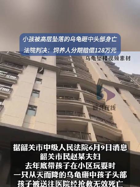今晚澳门9点35分开什么生肖和小孩被天降乌龟砸死与被天上掉下来的乌龟砸死的人